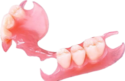 Removable Denture (VP)